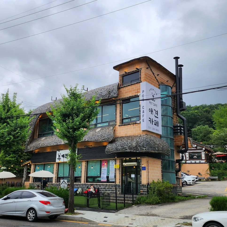 안양 산마을애견카페 이용 정보와 입장료